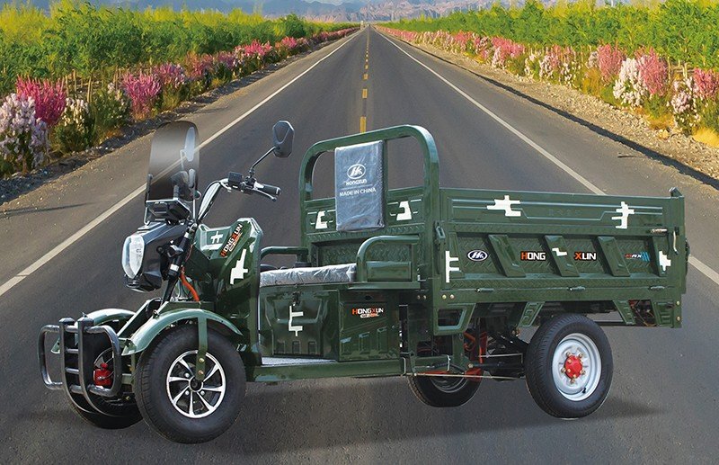 heavy duty electric cargo tricycle in green20