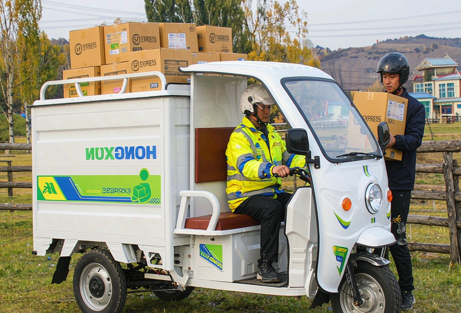 courier electric tricycle (1)