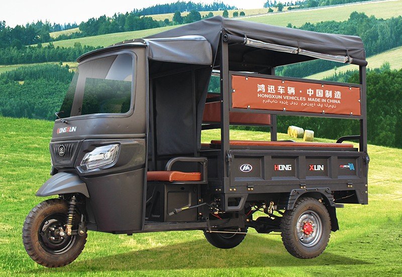 large passenger e rickshaw 10 (1)