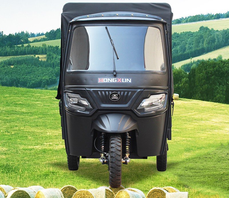 large passenger e rickshaw 10 (3)