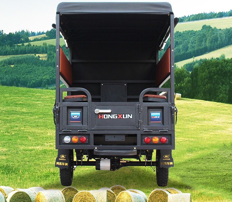 large passenger e rickshaw 10 (4)