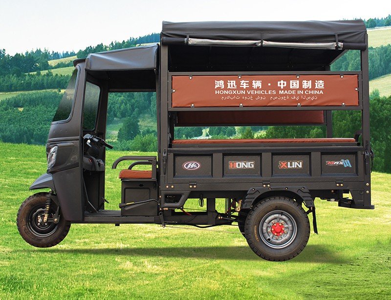 large passenger e rickshaw 10 (5)