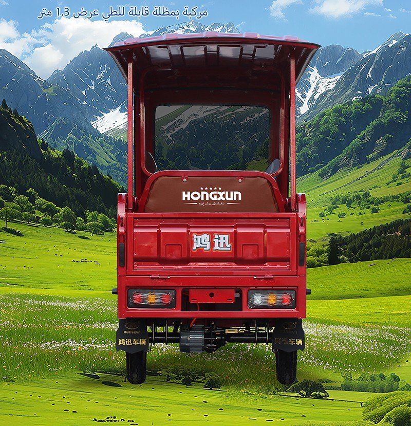 1.3m folding canopy electric tricycle 1 (3)