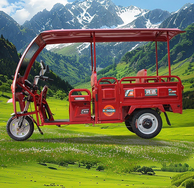 1.3m folding canopy electric tricycle 1 (4)