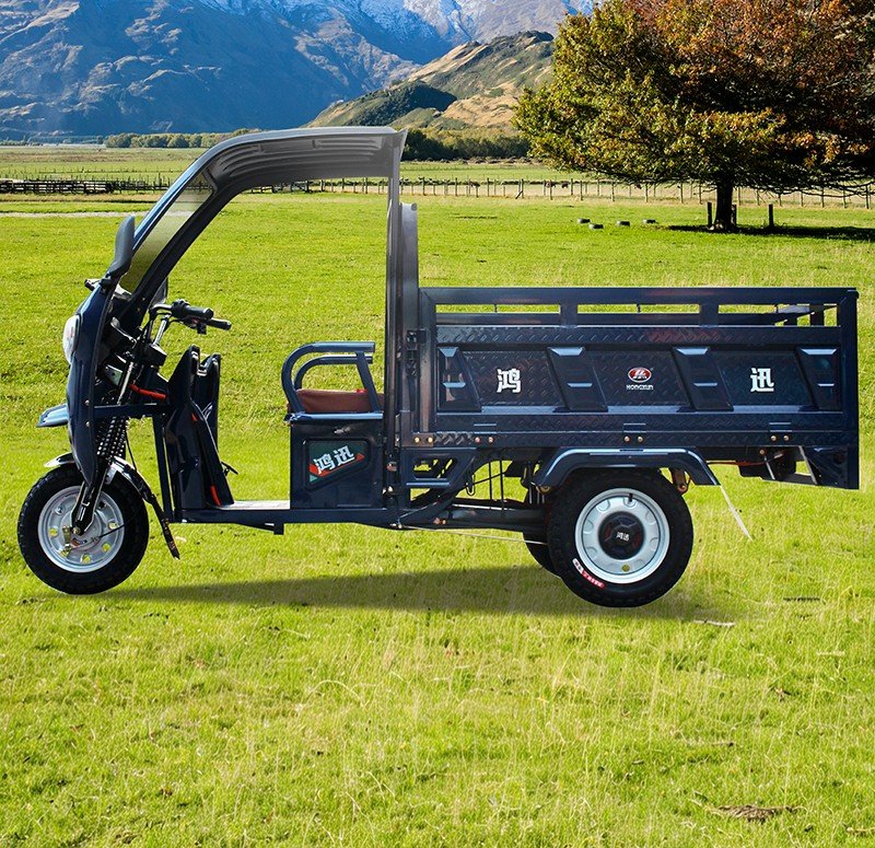 1.5m canopy electric cargo trike 2 (4)