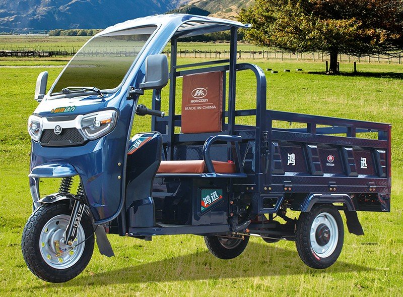1.5m canopy electric cargo trike 2 (5)