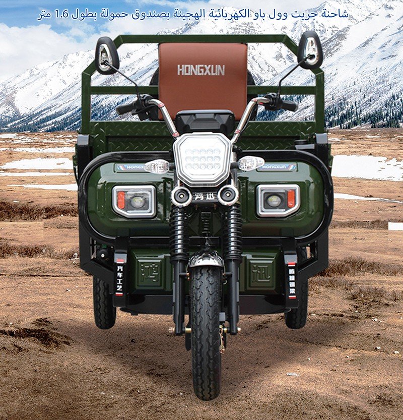 1.6m hybrid electric cargo tricycle 7 (1)