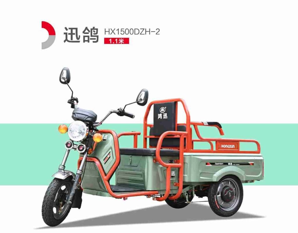 city leisure three wheeler (5)