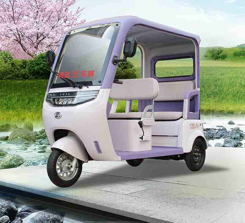 city leisure three wheeler (8)
