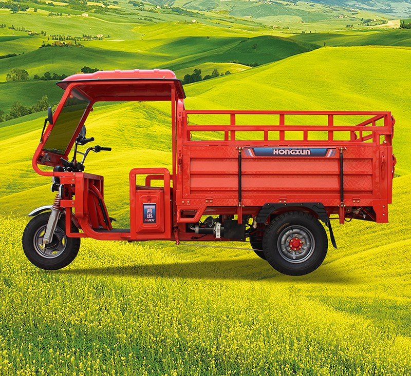 high sided electric utility trike 9 (1)