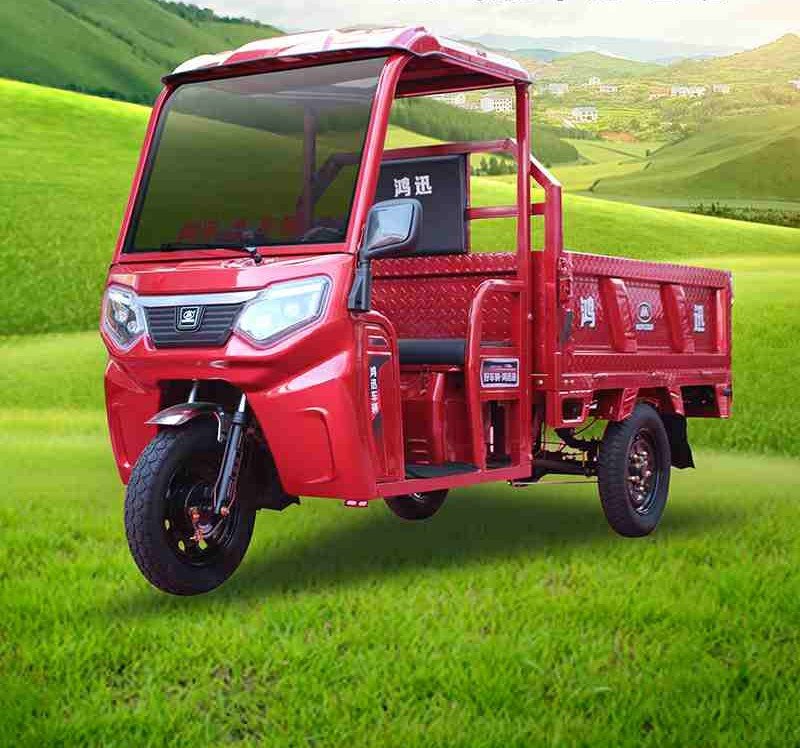 passenger and cargo electric tricycle (10)