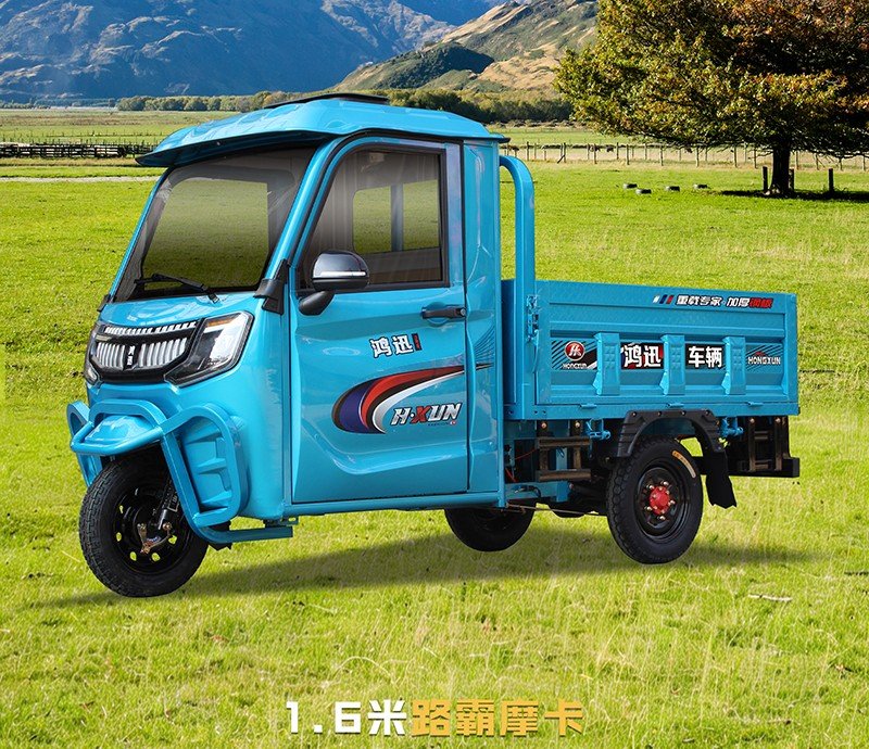 passenger and cargo electric tricycle (12)