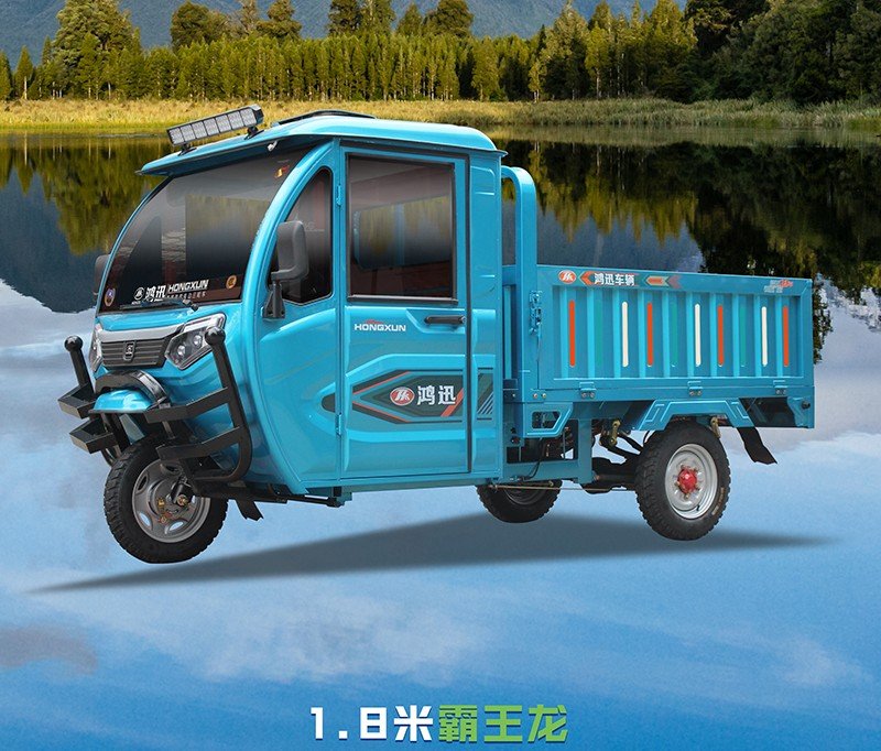 passenger and cargo electric tricycle (13)