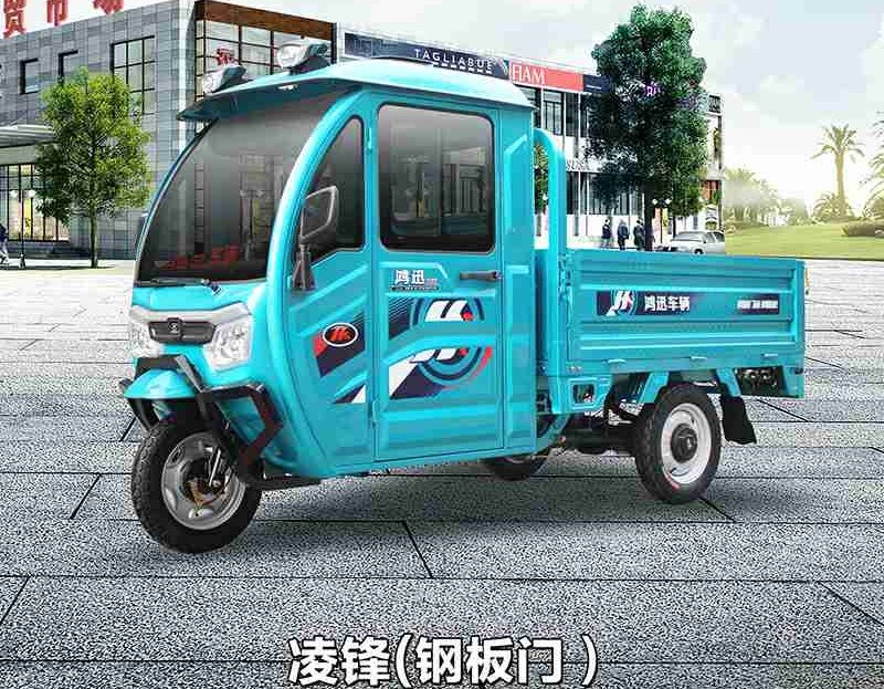 passenger and cargo electric tricycle (5)
