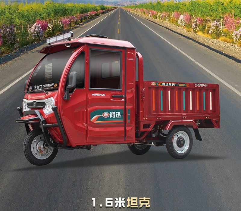passenger and cargo electric tricycle (7)