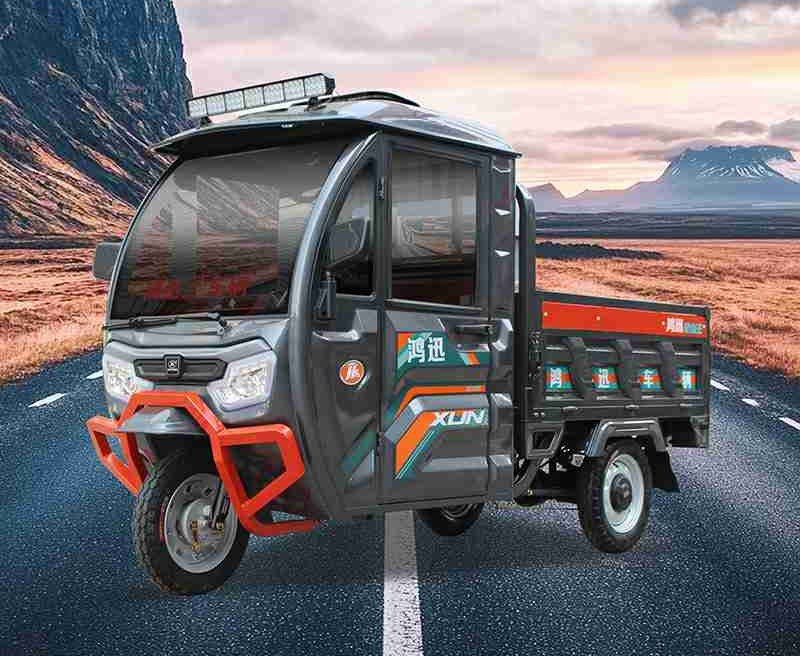 passenger and cargo electric tricycle (8)