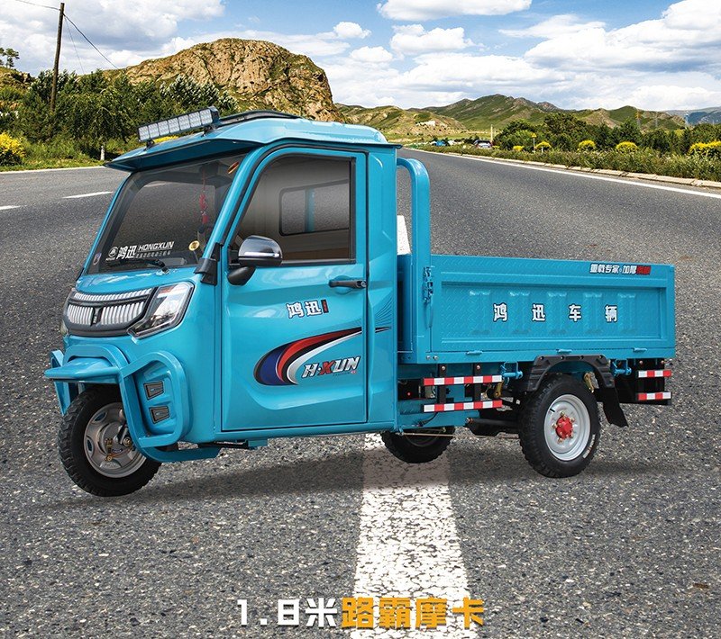 passenger and cargo electric tricycle (9)