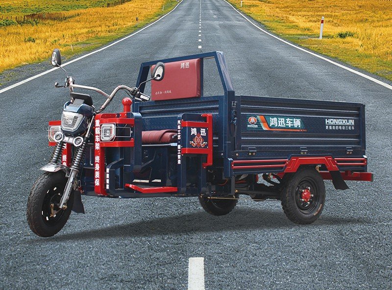 three door electric cargo tricycle (1)