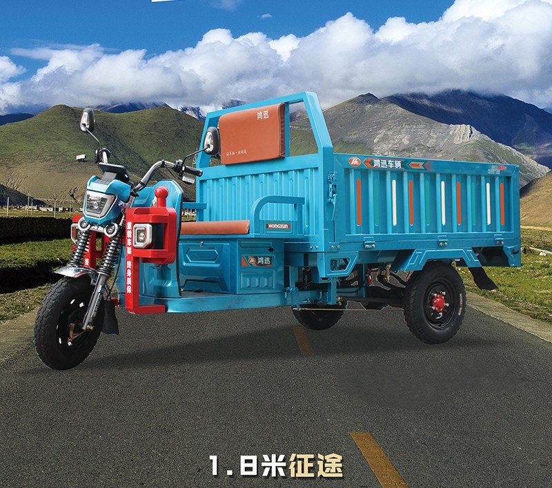 three door electric cargo tricycle (10)