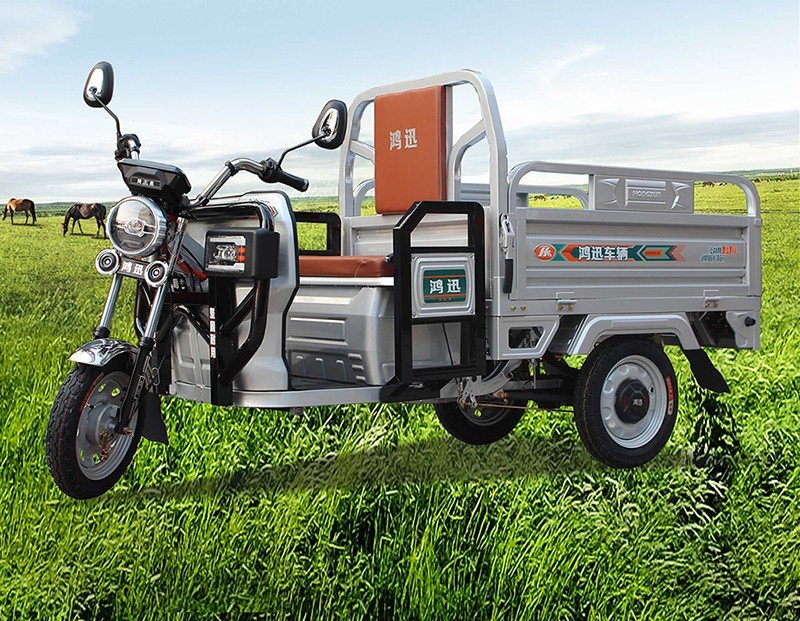 three door electric cargo tricycle (12)