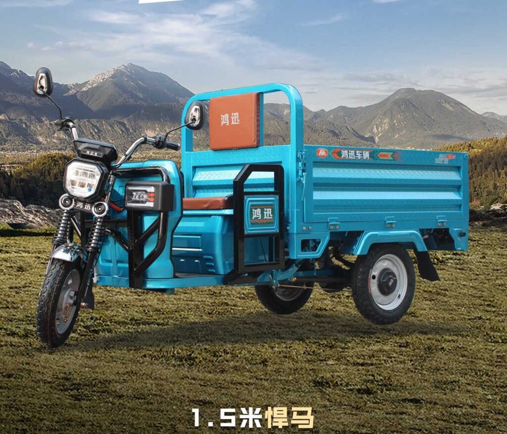 three door electric cargo tricycle (13)