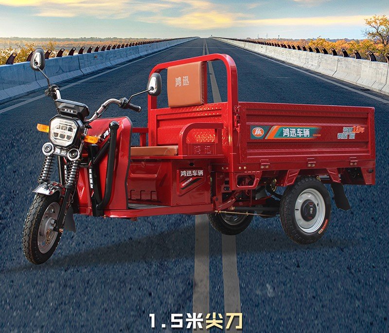 three door electric cargo tricycle (14)