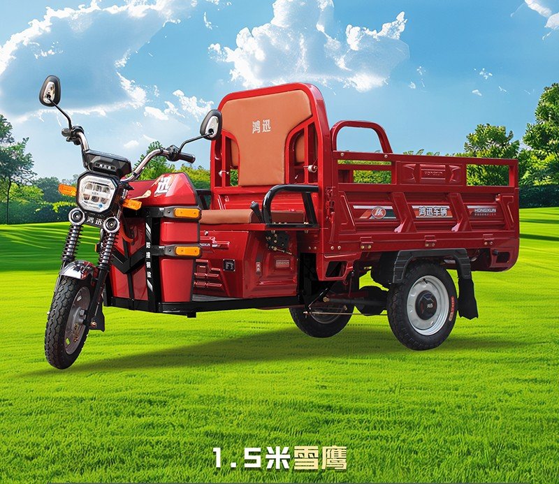 three door electric cargo tricycle (15)