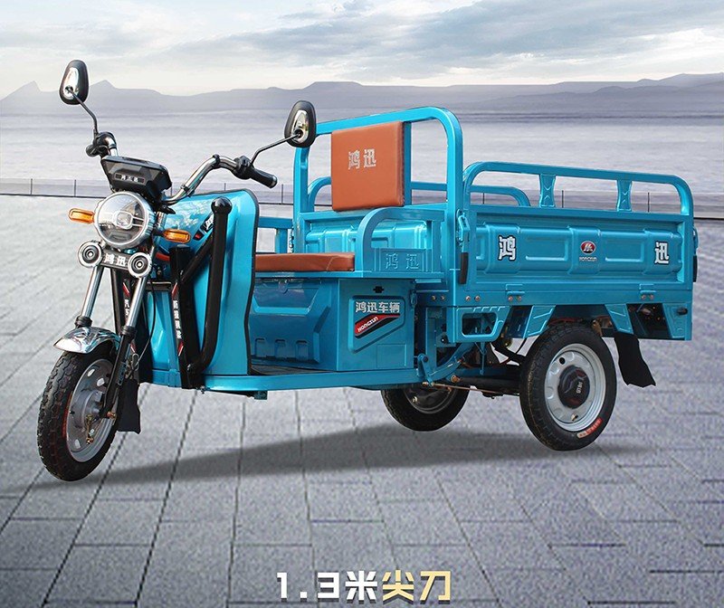 three door electric cargo tricycle (16)