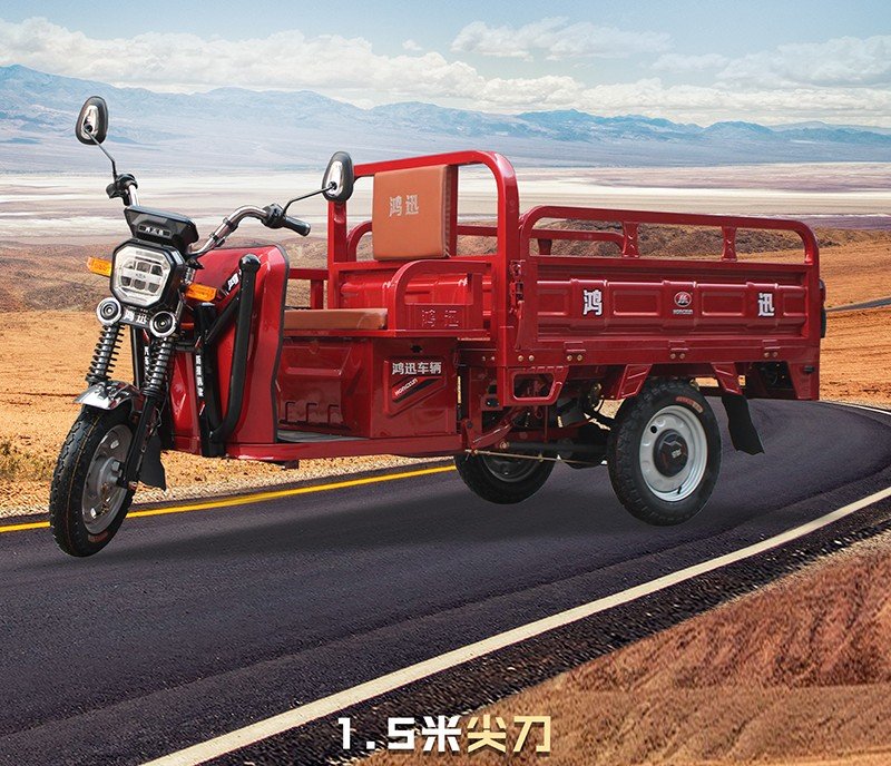 three door electric cargo tricycle (18)