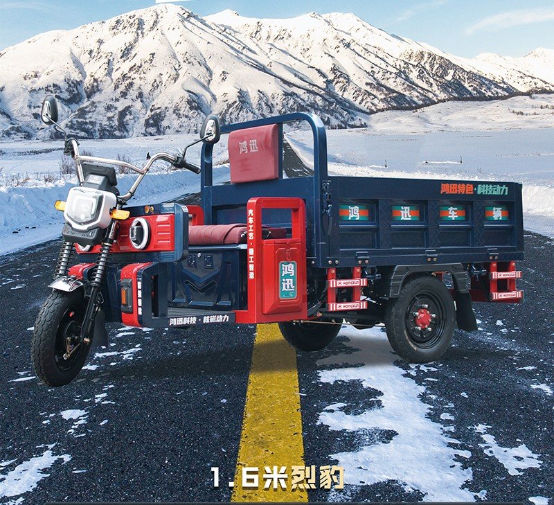 three door electric cargo tricycle (3)