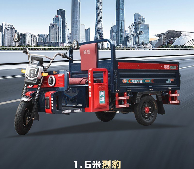 three door electric cargo tricycle (5)