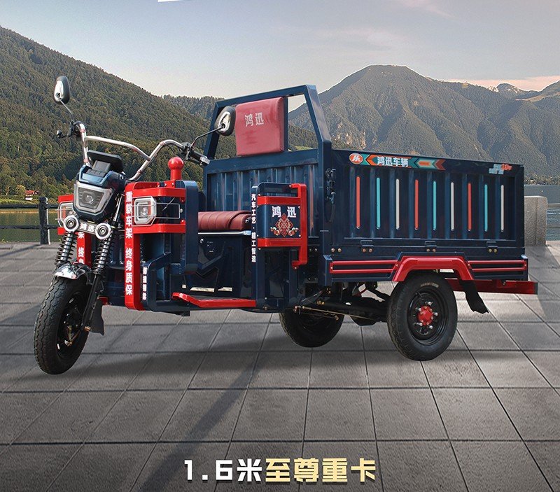 three door electric cargo tricycle (7)