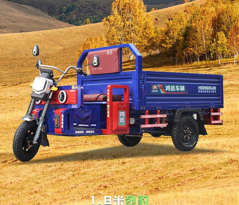 three door electric cargo tricycle (8)