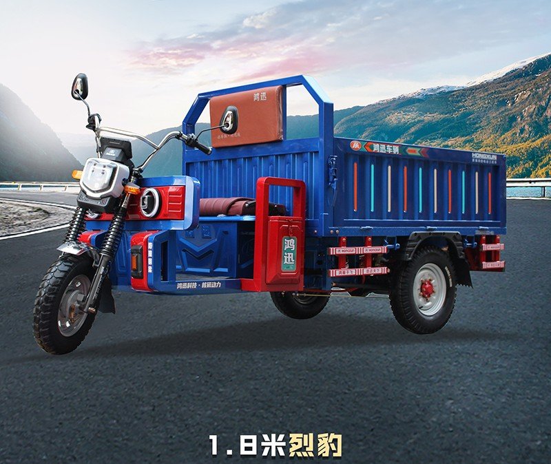 three door electric cargo tricycle (9)